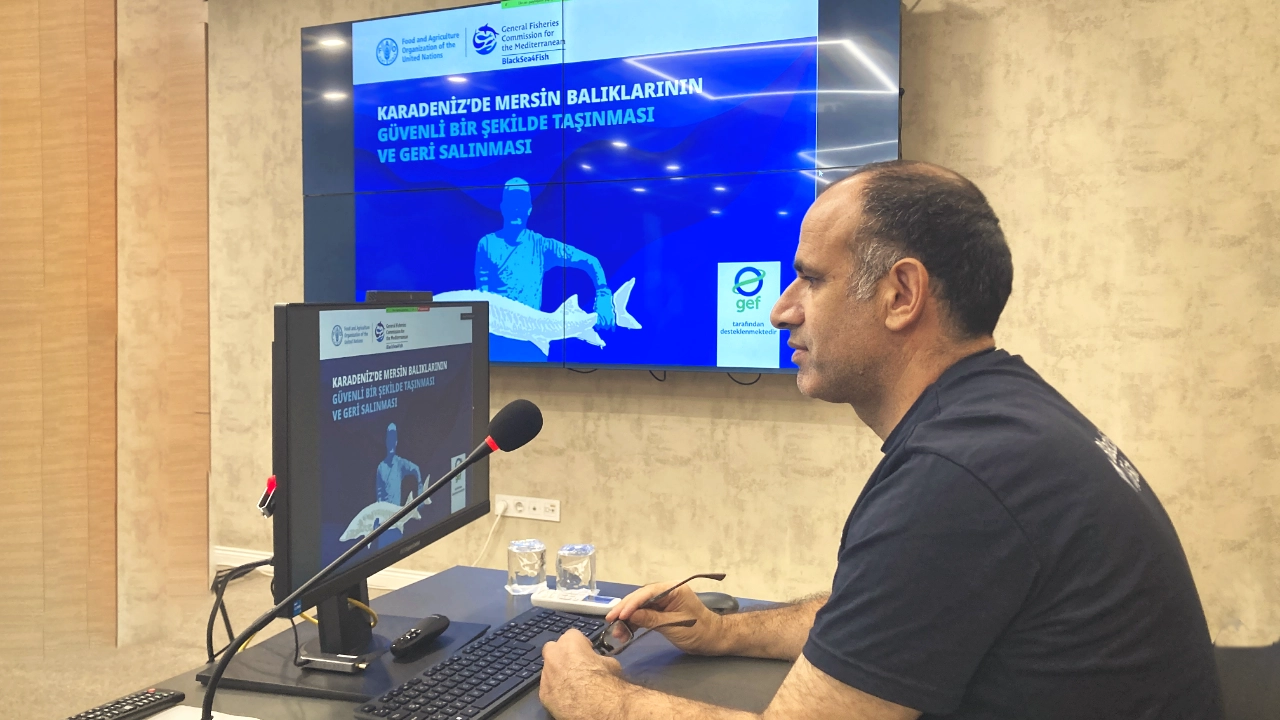 resimler-haber/blacksea4fish_meeting_RLOiBz1.webp