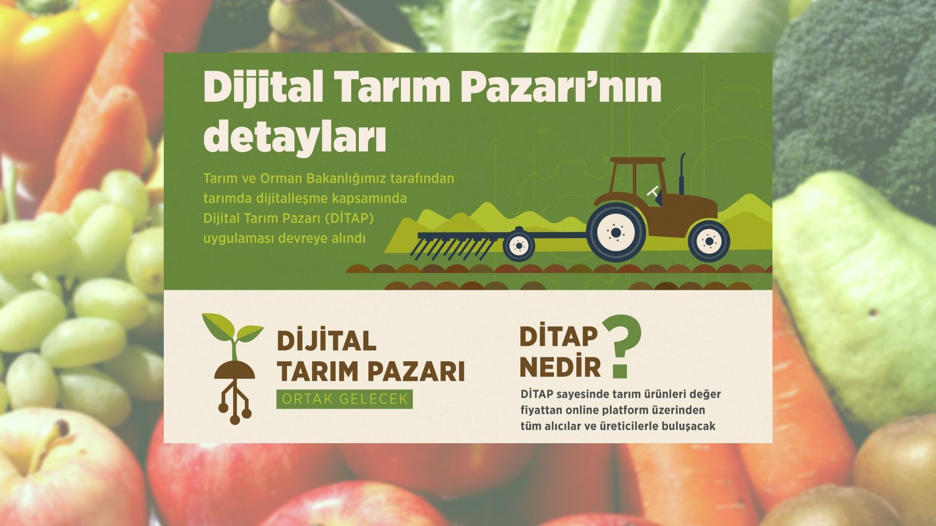 resimler-haber/dijital_tarım_pazarı_moenhaber_ditap_kapak.jpg